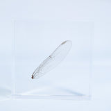 Dragonfly Wings