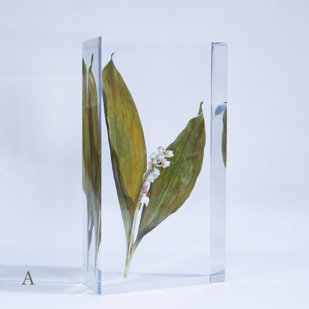 Lily of the valley – Usagi no Nedoko