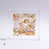 Abalone Shell Slice