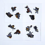 Stony-iron meteorite