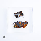Stony-iron meteorite