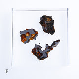 Stony-iron meteorite