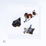 Stony-iron meteorite