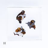 Stony-iron meteorite