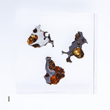 Stony-iron meteorite