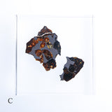 Stony-iron meteorite