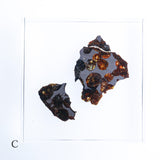 Stony-iron meteorite