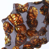 Stony-iron meteorite