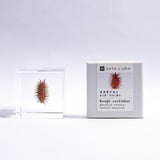 Rough cocklebur