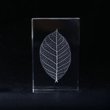 Skeleton leaf