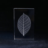 Skeleton leaf