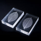 Skeleton leaf