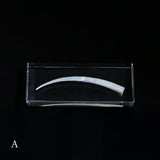 Dentalium aprinum