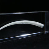Dentalium aprinum