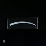 Dentalium aprinum