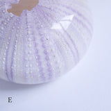 Tripneustes gratilla