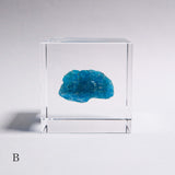 Apatite