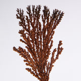 Dendritic copper