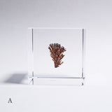 Dendritic copper