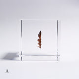 Dendritic copper