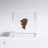 Dendritic copper