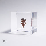 Dendritic copper