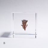 Dendritic copper
