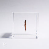 Dendritic copper
