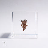 Dendritic copper