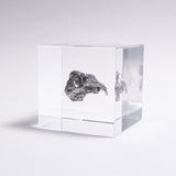 Campo del cielo meteorite