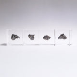 Campo del cielo meteorite