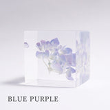 Hydrangea