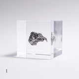 Campo del cielo meteorite