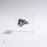 Campo del cielo meteorite