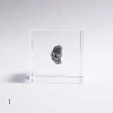 Campo del cielo meteorite