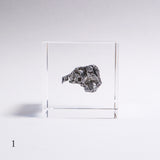 Campo del cielo meteorite