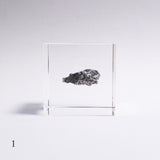 Campo del cielo meteorite