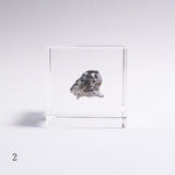 Campo del cielo meteorite