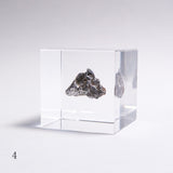 Campo del cielo meteorite