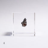 Campo del cielo meteorite