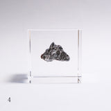 Campo del cielo meteorite