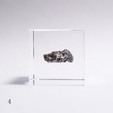 Campo del cielo meteorite