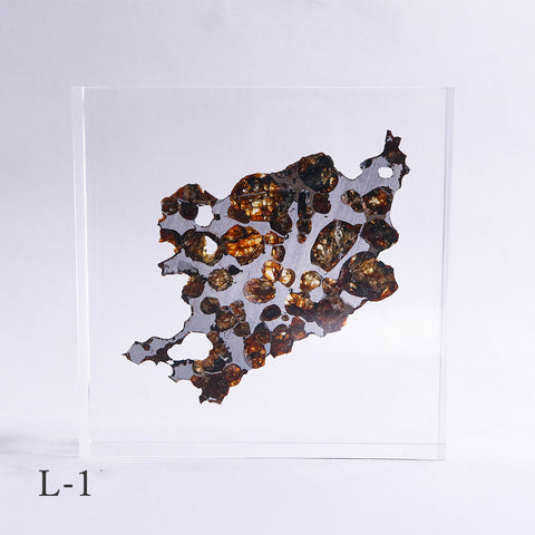 Stony-iron meteorite (L-Size)