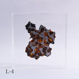Stony-iron meteorite (L-Size)