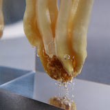 Agaricus marmoreus Peck