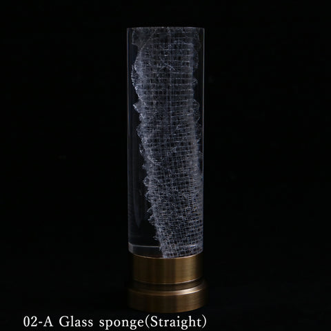 Sola lume -02 Glass sponge-