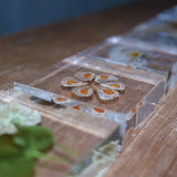 Heartleaf lily Seeds