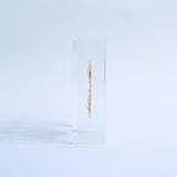 Heartleaf lily Seeds