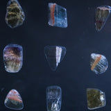 Fluorite Pebbles