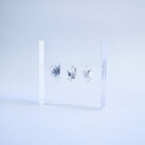 Crystal
